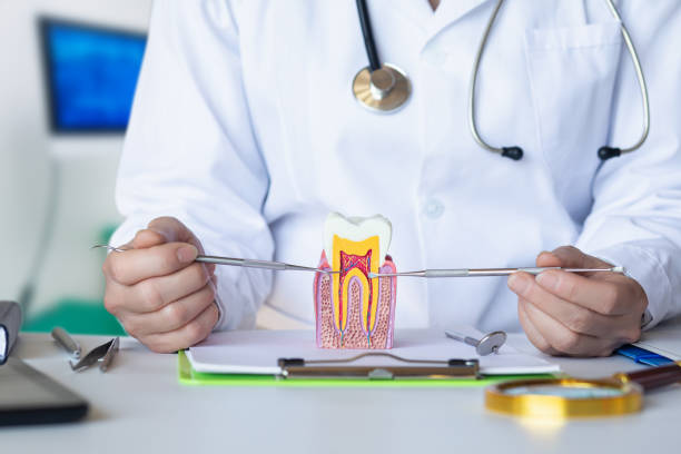 Best Emergency Treatment for Dental Infections or Abscesses in Narrows, VA
